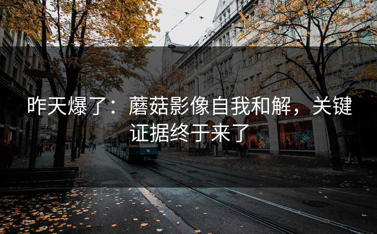 昨天爆了：蘑菇影像自我和解，关键证据终于来了