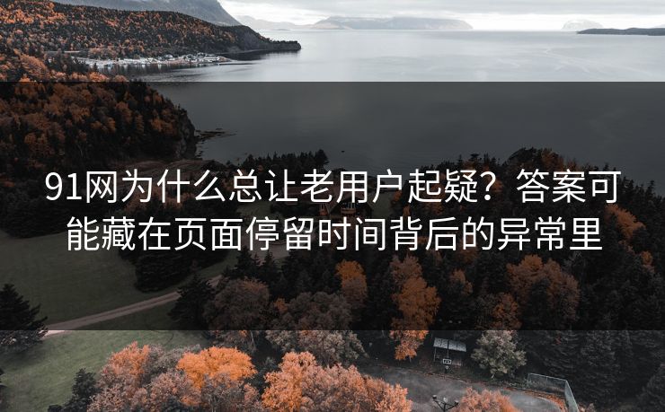 91网为什么总让老用户起疑?答案可能藏在页面停留时间背后的异常里 91网为什么总让老用户起疑?答案可能藏在页面停留时间背后的异常里