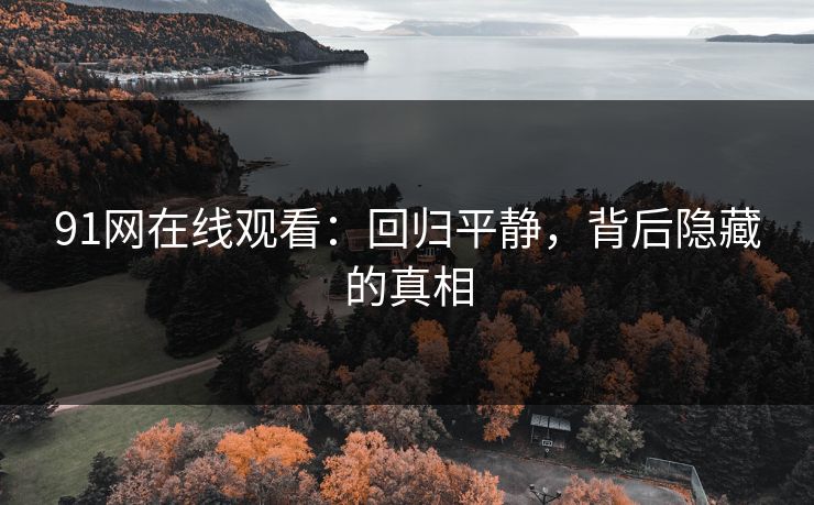 91网在线观看：回归平静，背后隐藏的真相